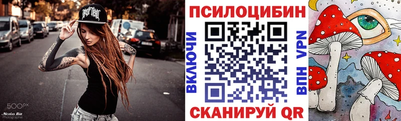 Купить  Копейск  Псилоцибиновые грибы Psilocybine cubensis 